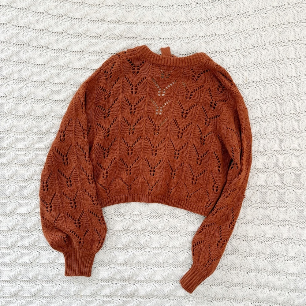 Le Rumi Rust Knit Sweater - Picture 3 of 4